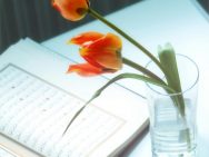 {{brizy_dc_image_alt entityId=